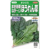 送料無料　[ほうれんそう]　オシリス　約900粒　(株)サカタのタネ　実咲350（003011）