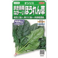 送料無料　[ほうれんそう]　オシリス　約900粒　(株)サカタのタネ　実咲350（003011）