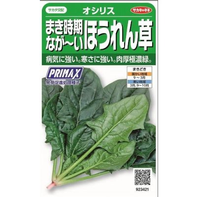 画像1: 送料無料　[ほうれんそう]　オシリス　約900粒　(株)サカタのタネ　実咲350（003011）
