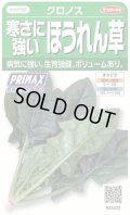 送料無料　[ほうれんそう]　クロノス　約900粒　(株)サカタのタネ　実咲350（003012）