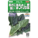 送料無料　[ほうれんそう]　クロノス　約900粒　(株)サカタのタネ　実咲350（003012）