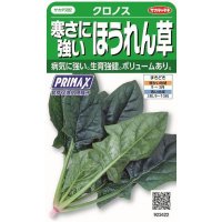 送料無料　[ほうれんそう]　クロノス　約900粒　(株)サカタのタネ　実咲350（003012）