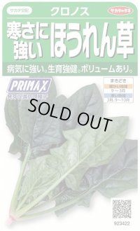 [ほうれんそう]　クロノス　約900粒　サカタのタネ（株）　実咲300