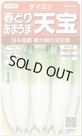 送料無料　[大根]　天宝　約130粒　(株)サカタのタネ　実咲450（003064）