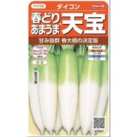 送料無料　[大根]　天宝　約130粒　(株)サカタのタネ　実咲450（003064）