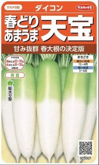 送料無料　[大根]　天宝　約130粒　(株)サカタのタネ　実咲450（003064）