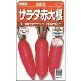 送料無料　[大根]　紅化粧　約100粒　(株)サカタのタネ　実咲450（003069）