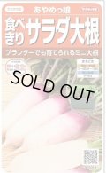 送料無料　[大根]　ミニダイコン　あやめっ娘　約130粒　(株)サカタのタネ　実咲450（003075）