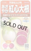 送料無料　[大根]　天安紅心2号　約400粒 　(株)サカタのタネ　実咲450（003089）