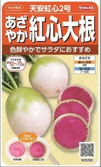 送料無料　[大根]　天安紅心2号　約400粒 　(株)サカタのタネ　実咲450（003089）