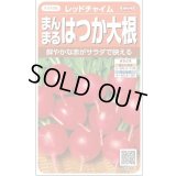送料無料　[大根]　はつかだいこん　レッドチャイム　約350粒　(株)サカタのタネ　実咲350（003093）