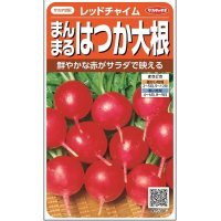 [大根]　はつかだいこん　レッドチャイム　約350粒　サカタ交配　　実咲