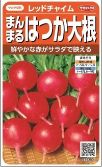 [大根]　はつかだいこん　レッドチャイム　約350粒　サカタ交配　　実咲