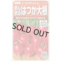 送料無料　[大根]　はつかだいこん　レッドチャイム　約350粒　(株)サカタのタネ　実咲350（003093）