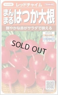 送料無料　[大根]　はつかだいこん　レッドチャイム　約350粒　(株)サカタのタネ　実咲350（003093）