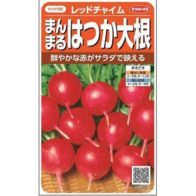 画像1: [大根]　はつかだいこん　レッドチャイム　約350粒　サカタ交配　　実咲