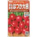 画像1: [大根]　はつかだいこん　レッドチャイム　約350粒　サカタ交配　　実咲 (1)