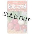 送料無料　[大根]　はつかだいこん　カラフルファイブ　約350粒　(株)サカタのタネ　実咲250（003094）