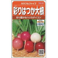 [大根]　はつかだいこん　カラフルファイブ　約350粒　 サカタ交配　実咲