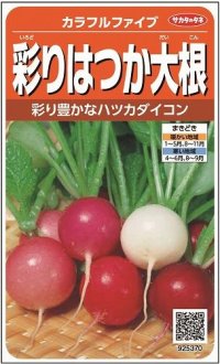 [大根]　はつかだいこん　カラフルファイブ　約350粒　 サカタ交配　実咲