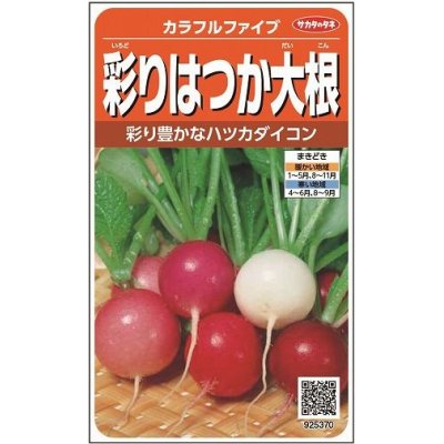 画像1: [大根]　はつかだいこん　カラフルファイブ　約350粒　 サカタ交配　実咲