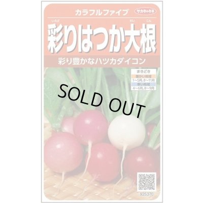 画像1: [大根] はつかだいこん カラフルファイブ 約350粒 (株)サカタのタネ 実咲250(003094)
