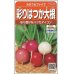 画像1: [大根]　はつかだいこん　カラフルファイブ　約350粒　 サカタ交配　実咲 (1)
