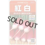 送料無料　[大根]　はつかだいこん　紅白　約525粒　(株)サカタのタネ　実咲250（003095）