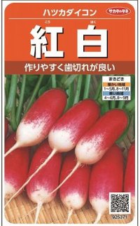 [大根]　はつかだいこん　紅白　約550粒　サカタ育成　実咲