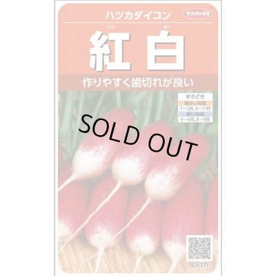 画像1: [大根] はつかだいこん 紅白 約525粒 (株)サカタのタネ 実咲250(003095)