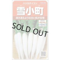送料無料　[大根]　はつかだいこん　雪小町　約550粒　(株)サカタのタネ