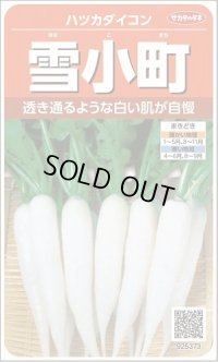 送料無料　[大根]　はつかだいこん　雪小町　約550粒　(株)サカタのタネ