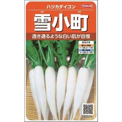 画像1: 送料無料　[大根]　はつかだいこん　雪小町　約550粒　(株)サカタのタネ　実咲250（003097）