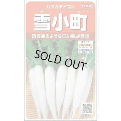 画像1: 送料無料　[大根]　はつかだいこん　雪小町　約550粒　(株)サカタのタネ