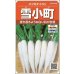 画像1: 送料無料　[大根]　はつかだいこん　雪小町　約550粒　(株)サカタのタネ (1)