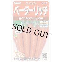 送料無料　[人参]　ベーターリッチ　ペレット　約350粒　(株)サカタのタネ　実咲450（003107）