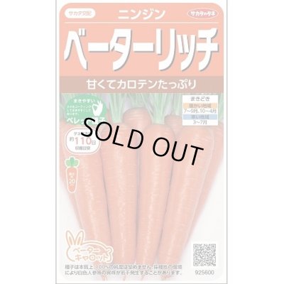 画像1: 送料無料　[人参]　ベーターリッチ　ペレット　約350粒　(株)サカタのタネ　実咲450（003107）