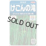 送料無料　[豆類]　ササゲ　けごんの滝　約35粒　(株)サカタのタネ実咲250（003126）