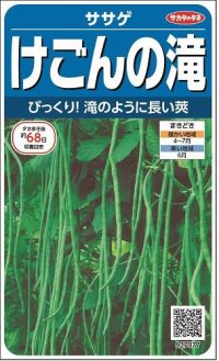 [豆類]　ササゲ　けごんの滝　約35粒　サカタのタネ（株）実咲200