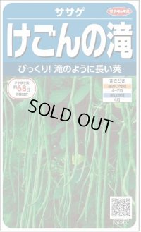 送料無料　[豆類]　ササゲ　けごんの滝　約35粒　(株)サカタのタネ実咲250（003126）