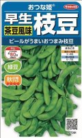 送料無料　[枝豆]　おつな姫　約50粒　(株)サカタのタネ　実咲350（003155）