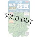 送料無料　[枝豆]　おつな姫　約50粒　(株)サカタのタネ　実咲350（003155）