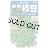 送料無料　[枝豆]　おつな姫　約50粒　(株)サカタのタネ　実咲350（003155）