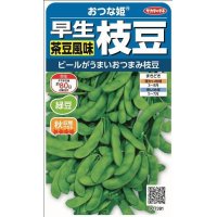 [枝豆]　おつな姫　約50粒　サカタのタネ（株）　実咲300