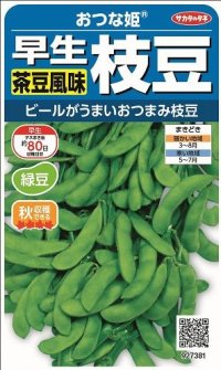 [枝豆]　おつな姫　約50粒　サカタのタネ（株）　実咲300