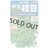 送料無料　[枝豆]　おつな姫　約50粒　(株)サカタのタネ　実咲350（003155）