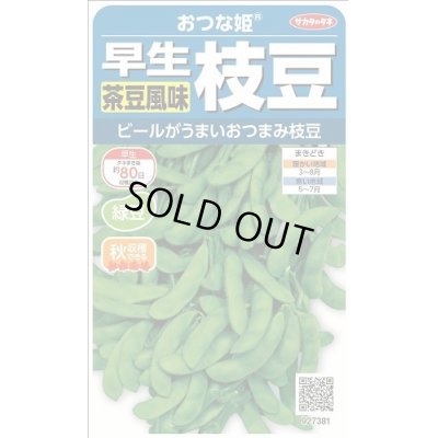 枝豆 おつな姫 約40粒 サカタのタネ 実咲 野菜種 枝豆 グリーンロフトネモト直営