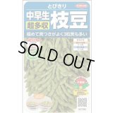 送料無料　[枝豆]　とびきり　約40粒　(株)サカタのタネ　実咲350（003156）