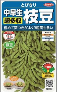[枝豆]　とびきり　約40粒　サカタのタネ（株）　実咲300