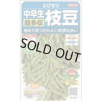 送料無料　[枝豆]　とびきり　約40粒　(株)サカタのタネ　実咲350（003156）